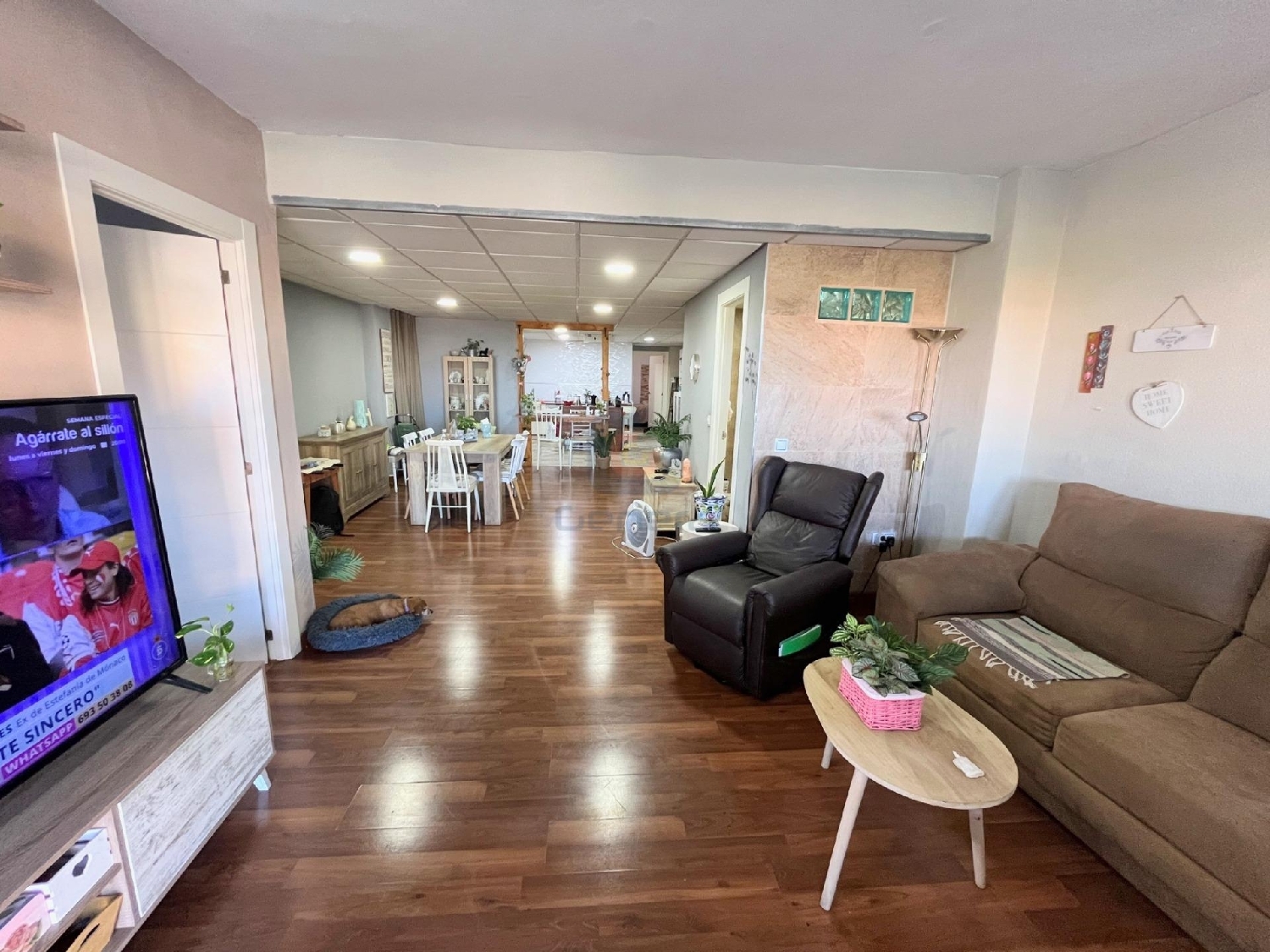 te koop appartement Alicante Centro 03001 Alacantí 1