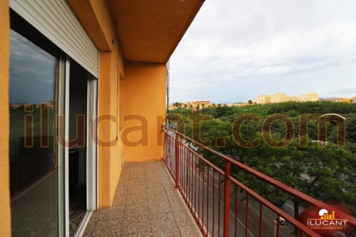 Alicante Centro 03001 Alacantí apartment foto 6285360