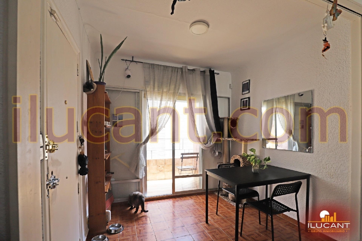  à vendre appartement Alicante Centro 03001 Alacantí 4