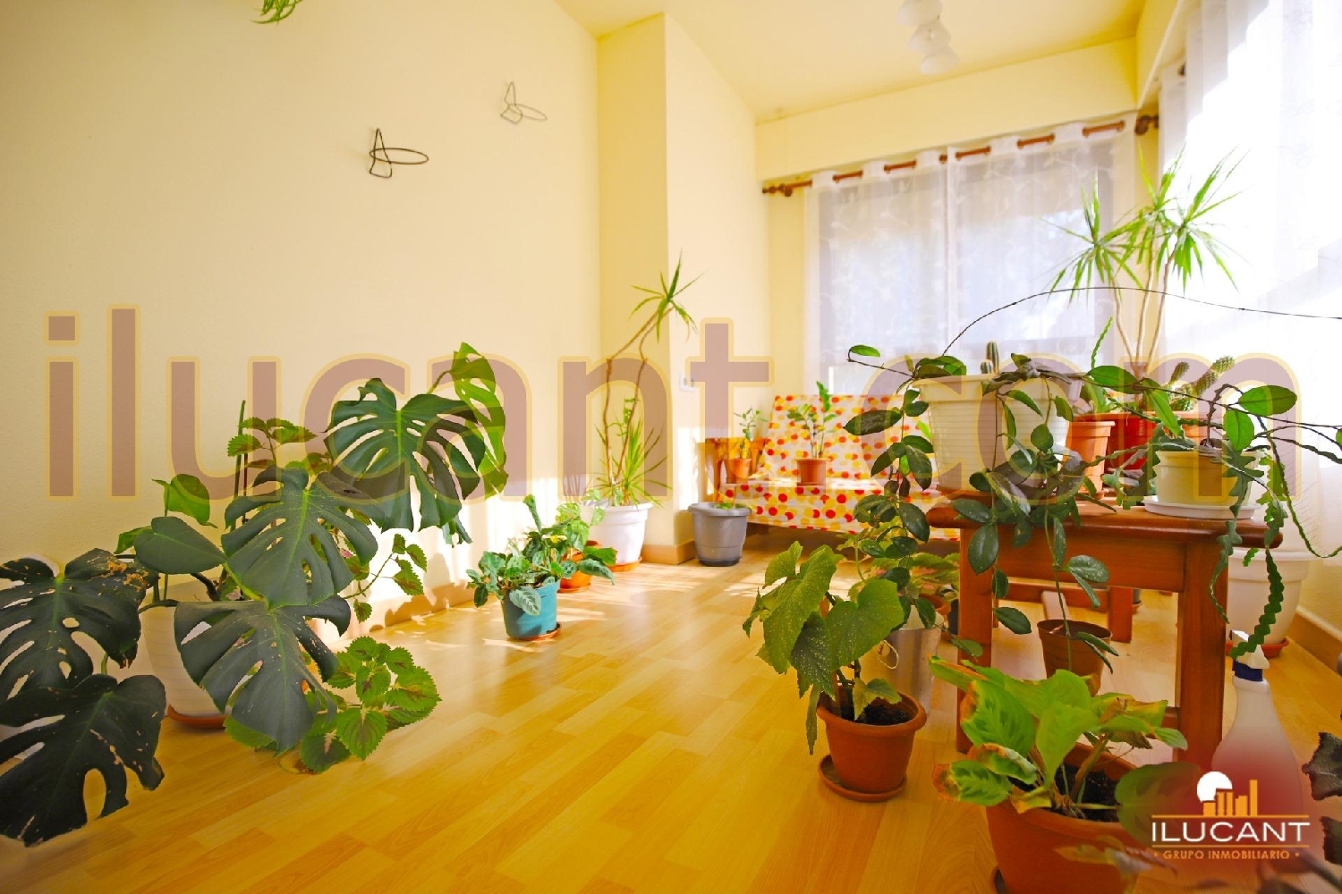  à vendre appartement Alicante Centro 03001 Alacantí 6