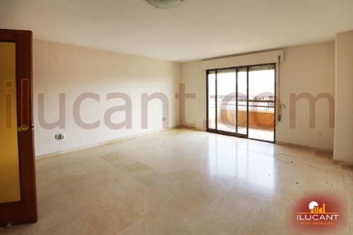 Alicante Centro 03001 Alacantí apartamento foto 6291746