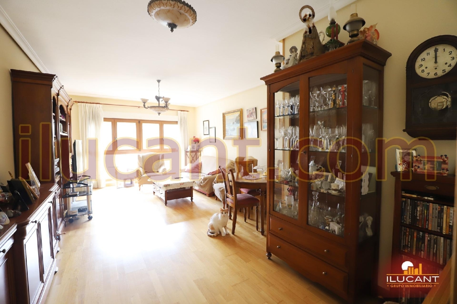  kaufen Wohnung Alicante Centro 03001 Alacantí 5