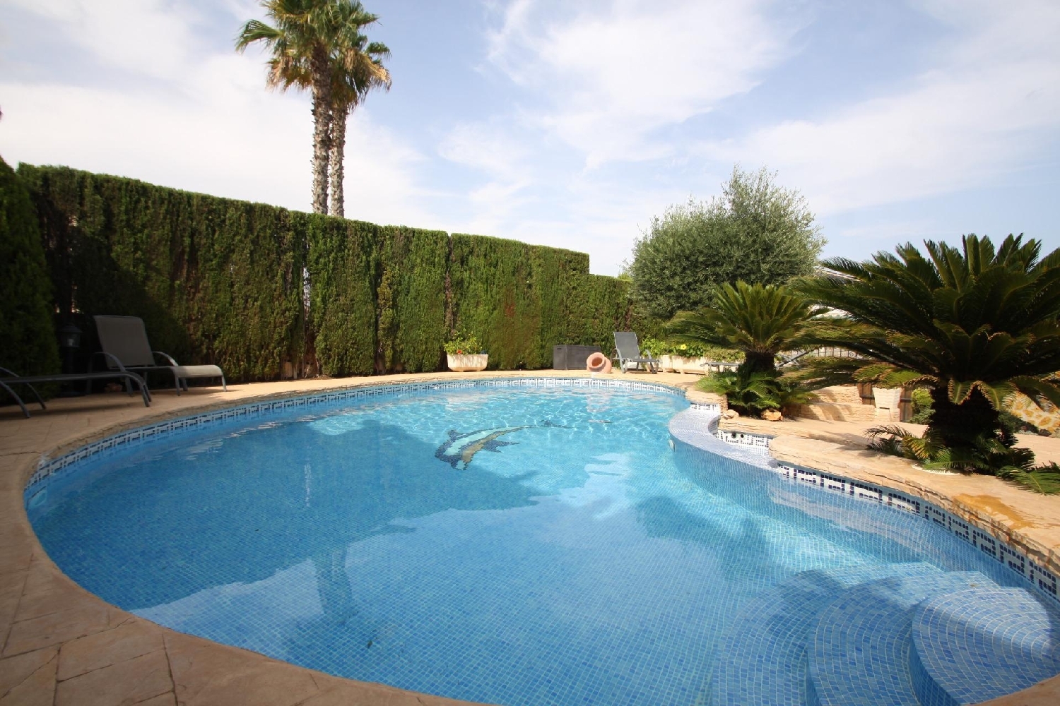  kaufen Wohnung Alicante Centro 03001 Alacantí 1