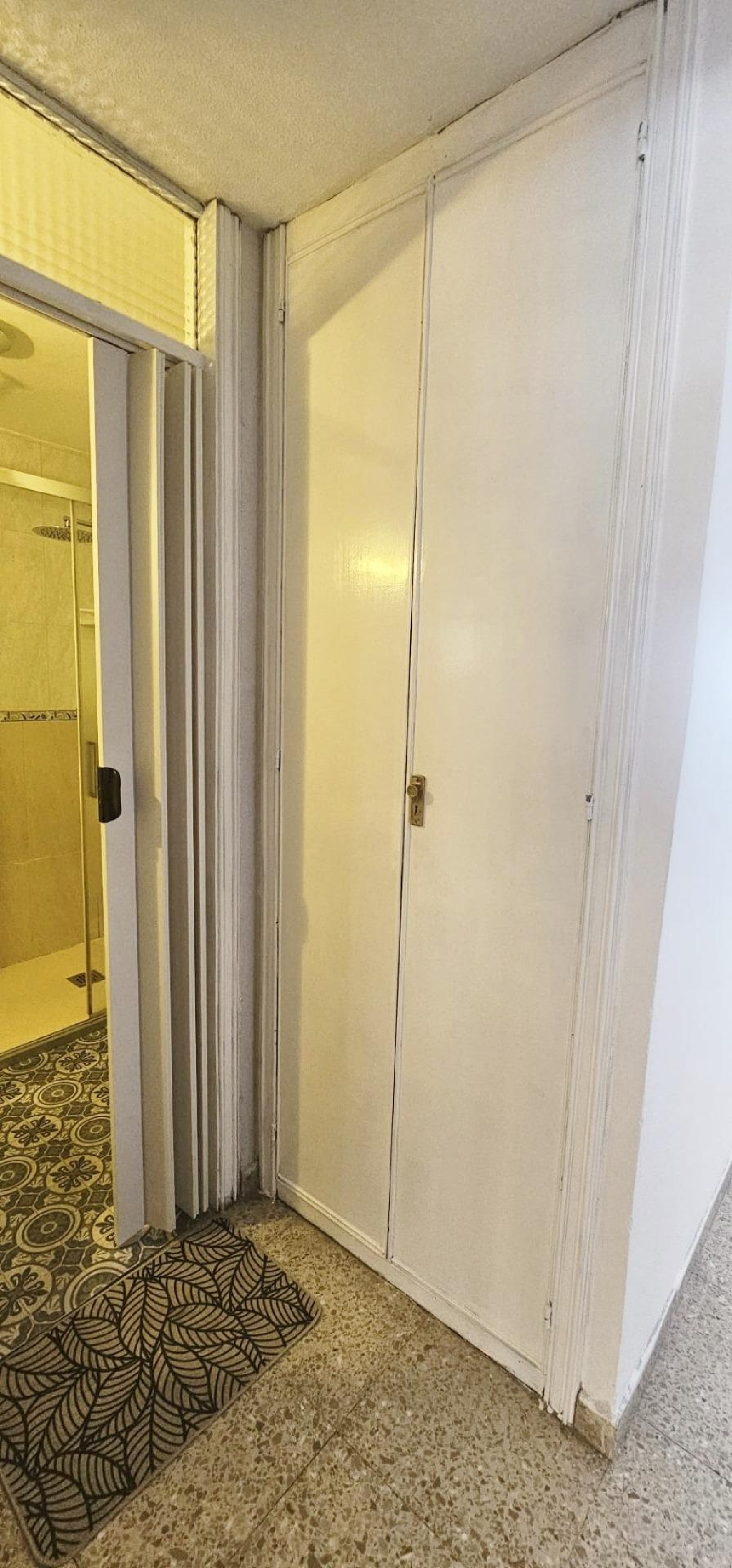  kaufen Wohnung Alicante Centro 03001 Alacantí 8