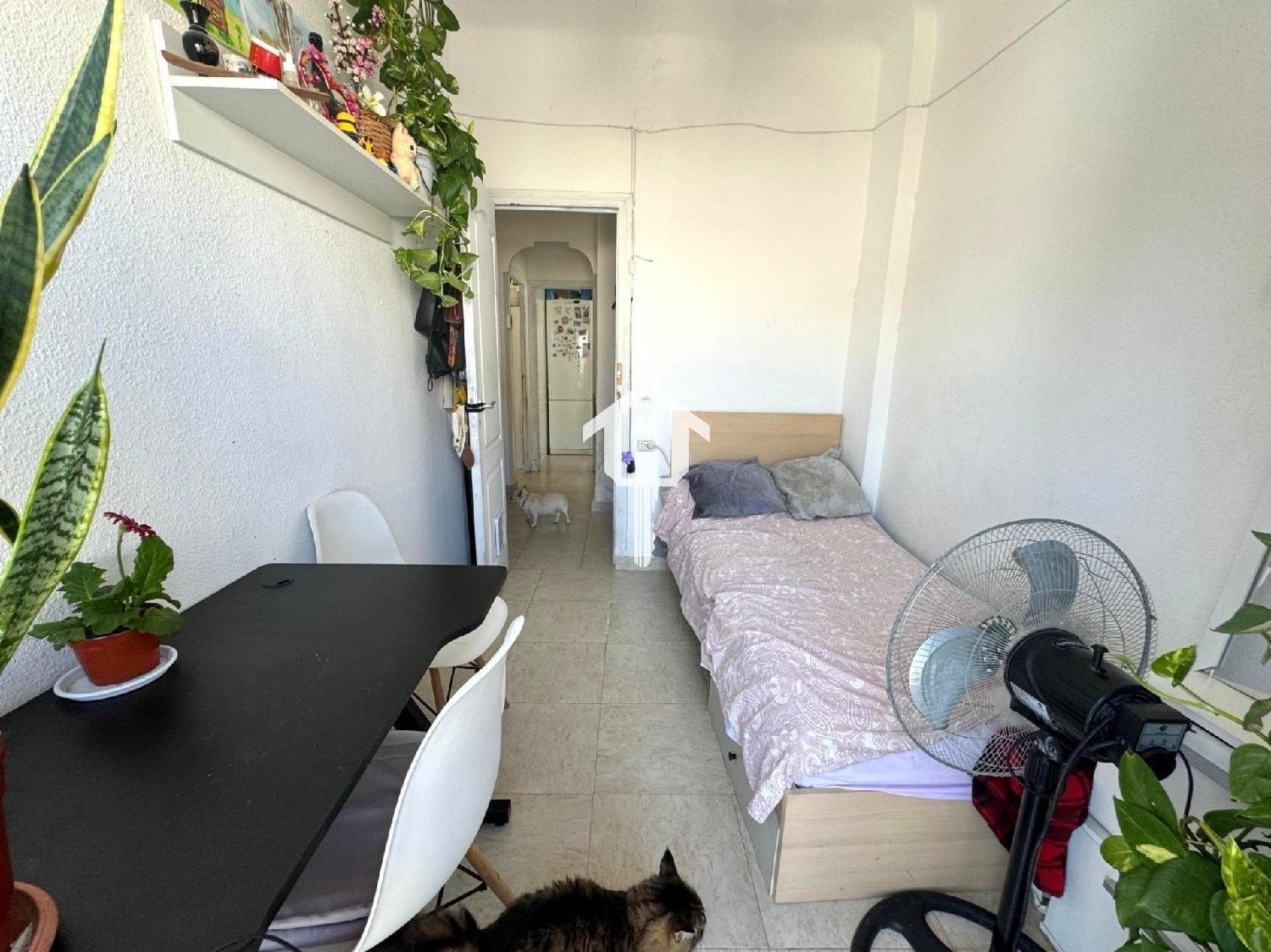  te koop appartement Alicante Centro 03001 Alacantí 7