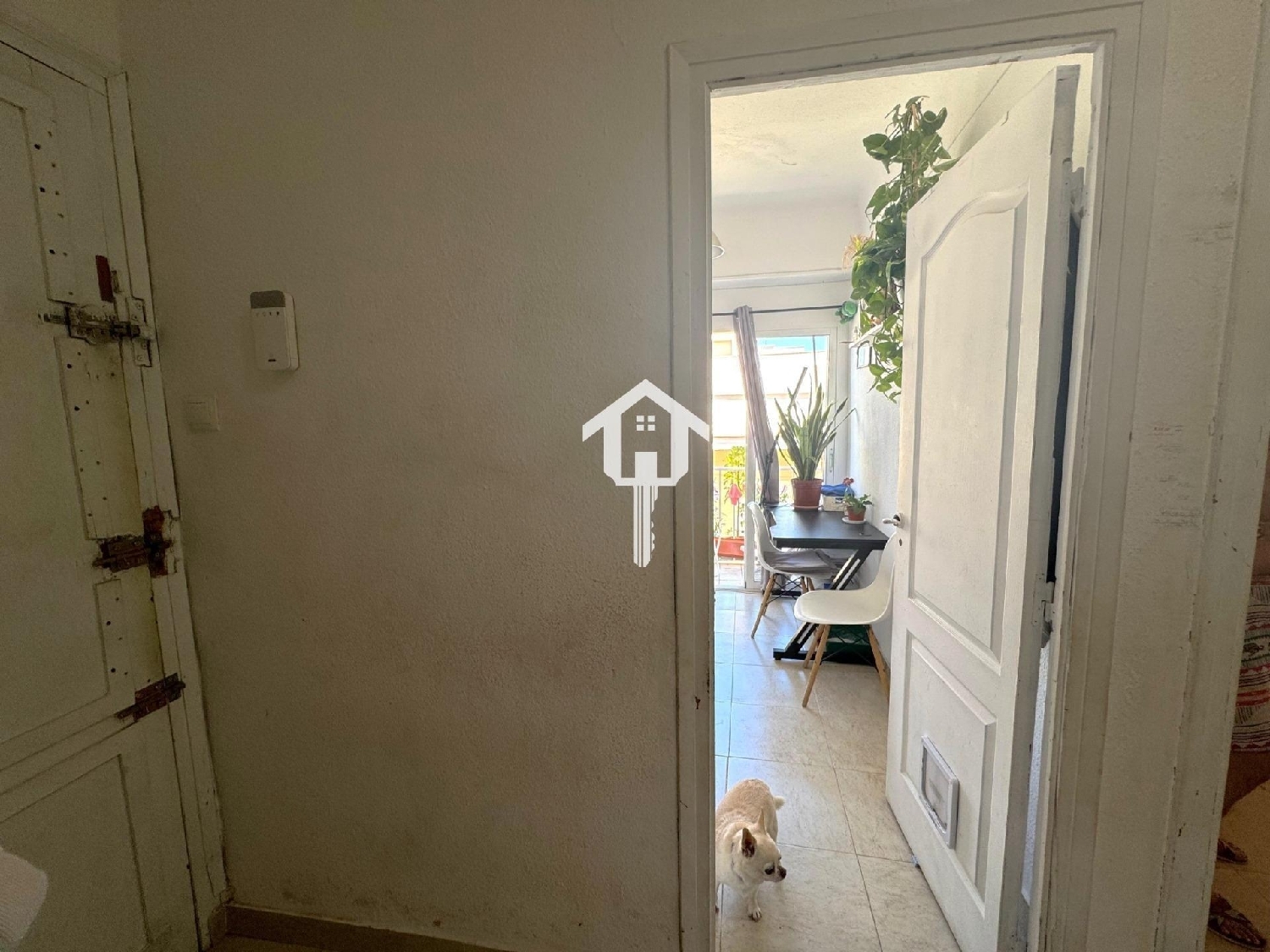  te koop appartement Alicante Centro 03001 Alacantí 4