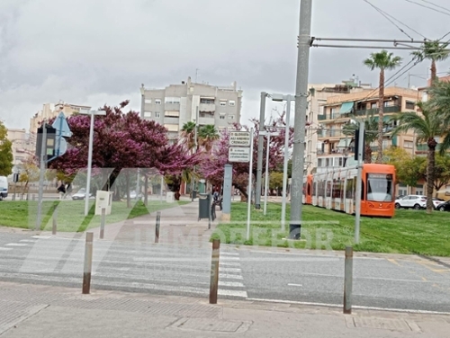 Alicante Centro 03001 Alacantí apartment foto 6288535