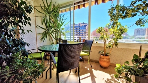 Alicante Centro 03001 Alacantí appartement foto 6291943