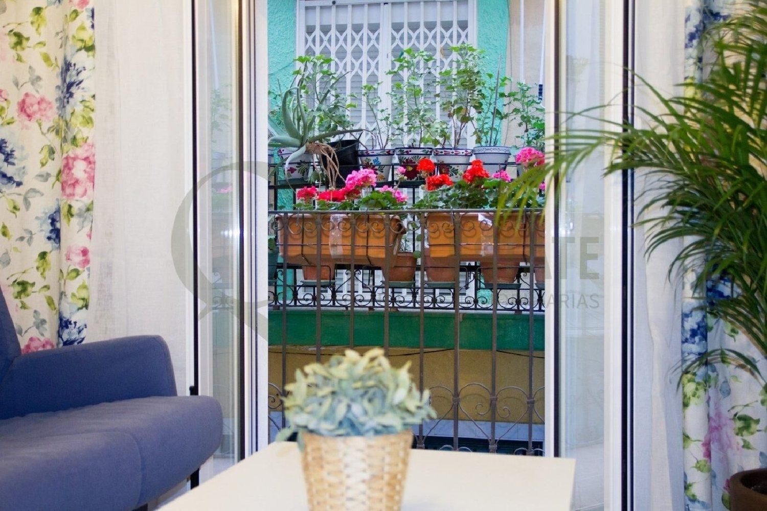  te koop appartement Alicante Centro 03001 Alacantí 1
