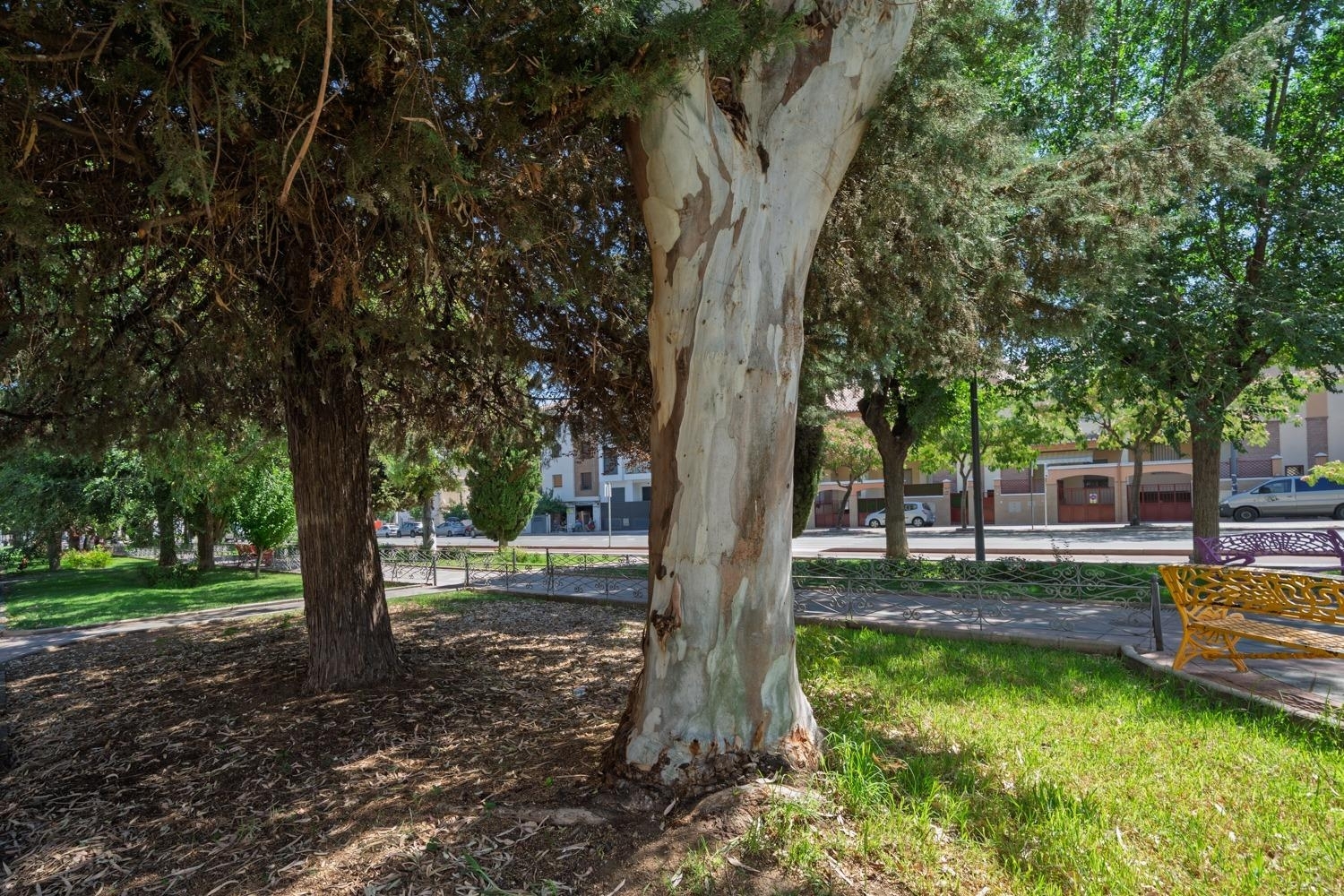 till salu lägenhet Armilla Vega De Granada 3