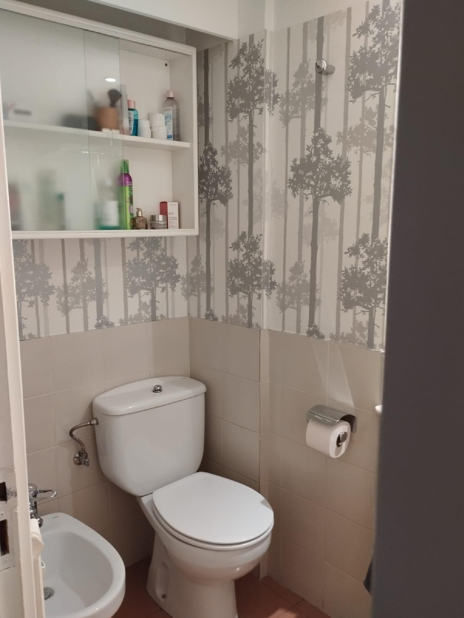 kaufen Wohnung Barbastro Somontano De Barbastro 3