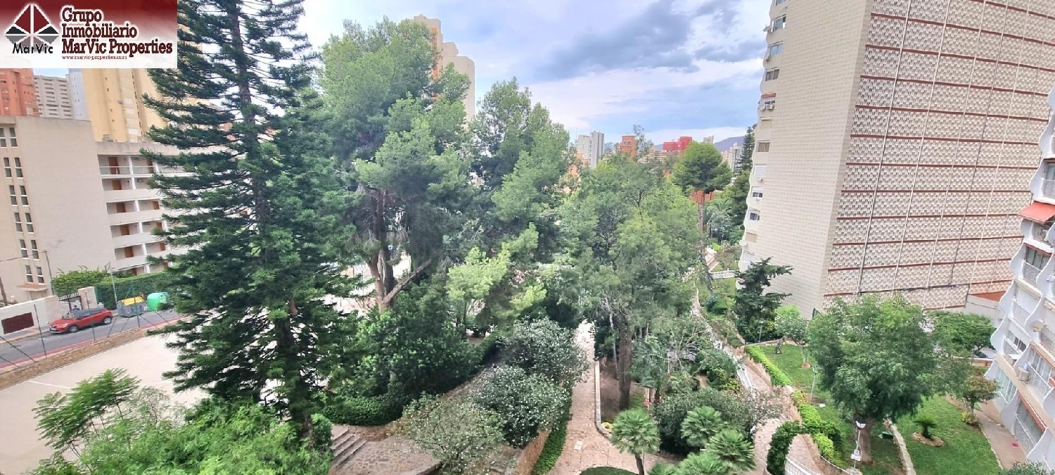  en venta apartamento Benidorm Marina Baixa 1