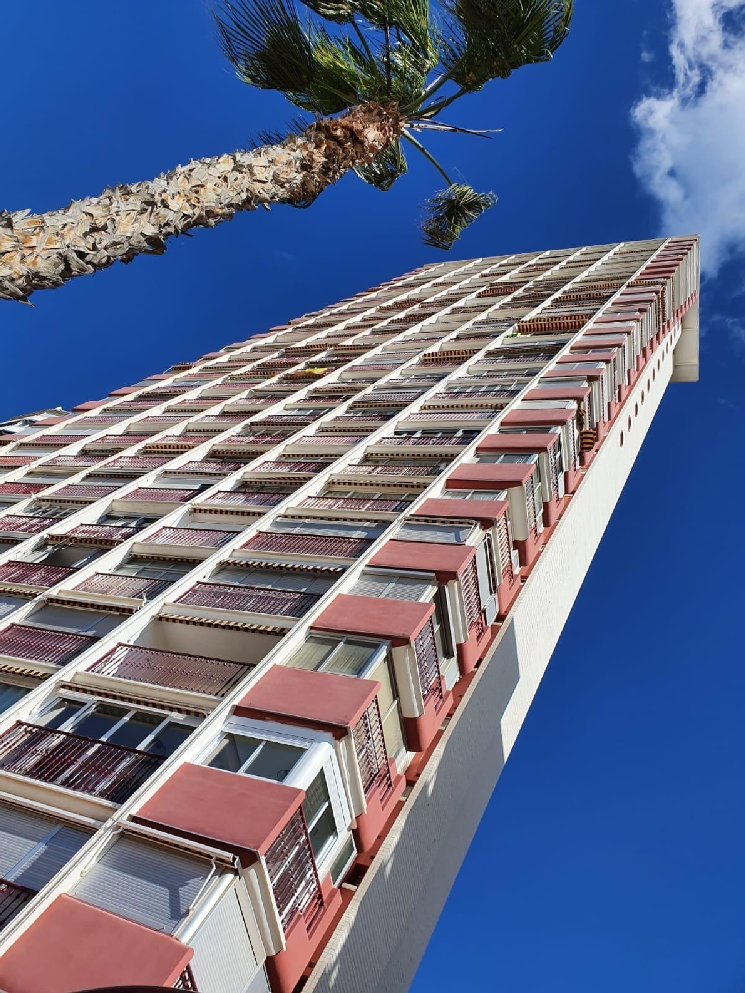  à vendre appartement Benidorm (Centro) Marina Baixa 8