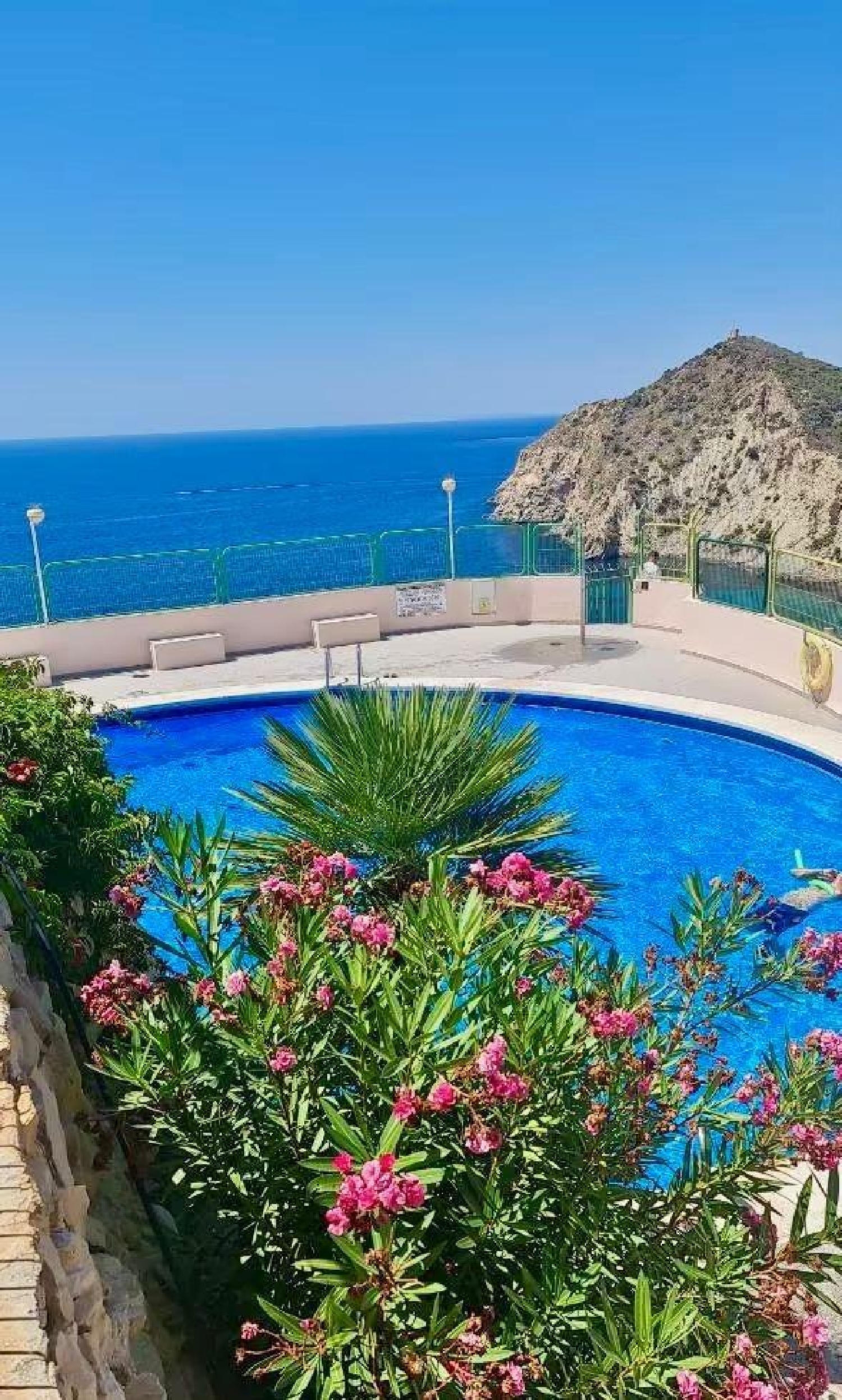  kaufen Wohnung Benidorm (Centro) Marina Baixa 4