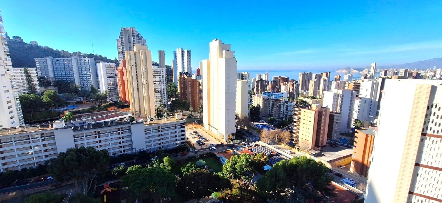 kaufen Wohnung Benidorm (Centro) Marina Baixa 3