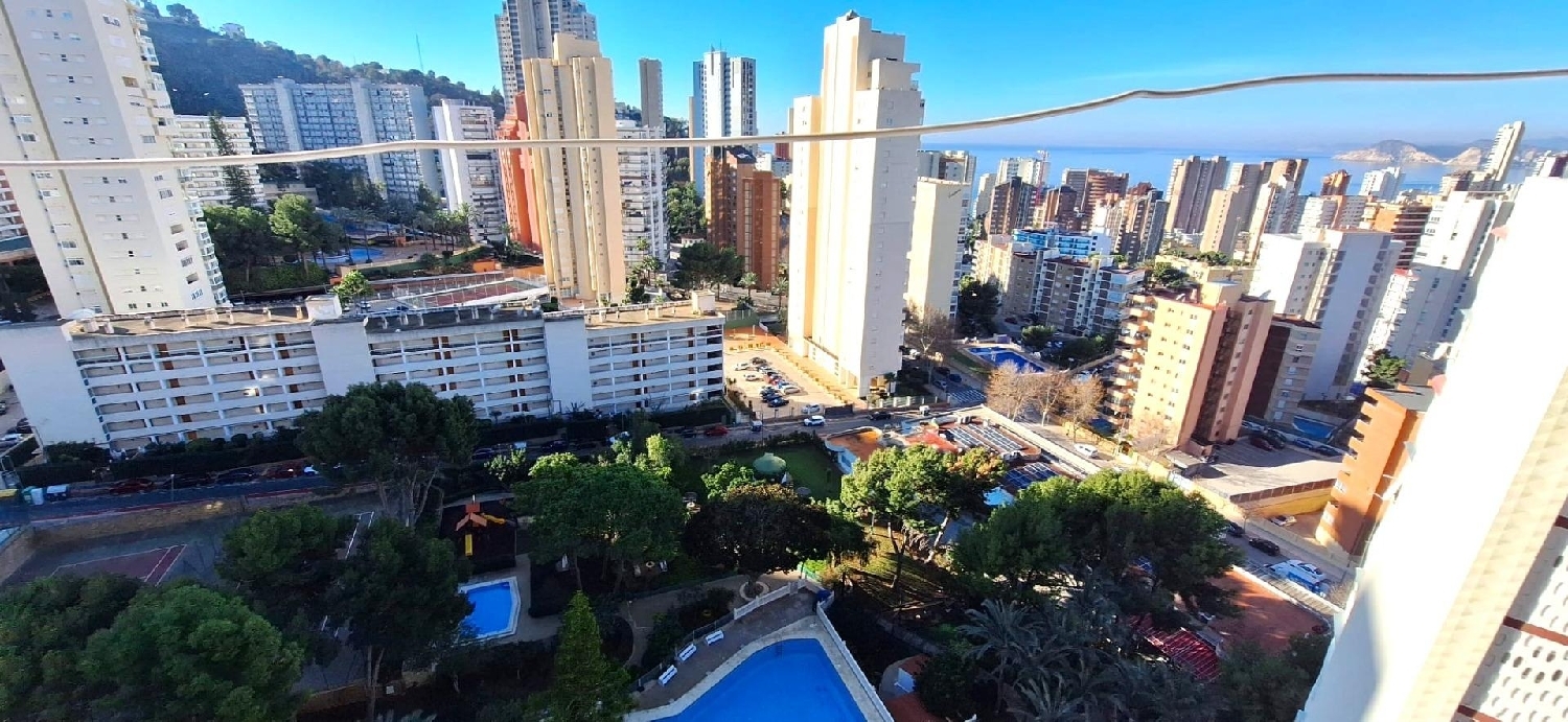  kaufen Wohnung Benidorm (Centro) Marina Baixa 4