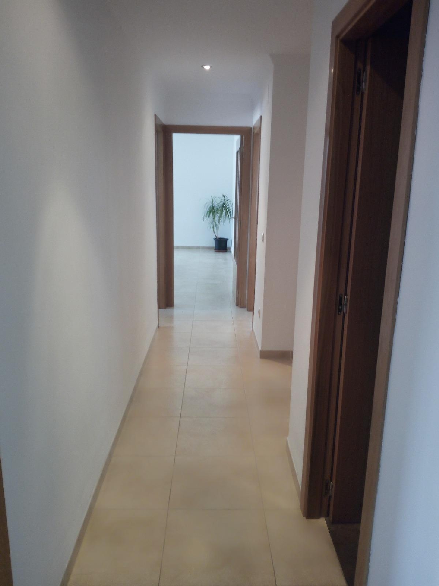  à vendre appartement Carlet Ribera Alta 7