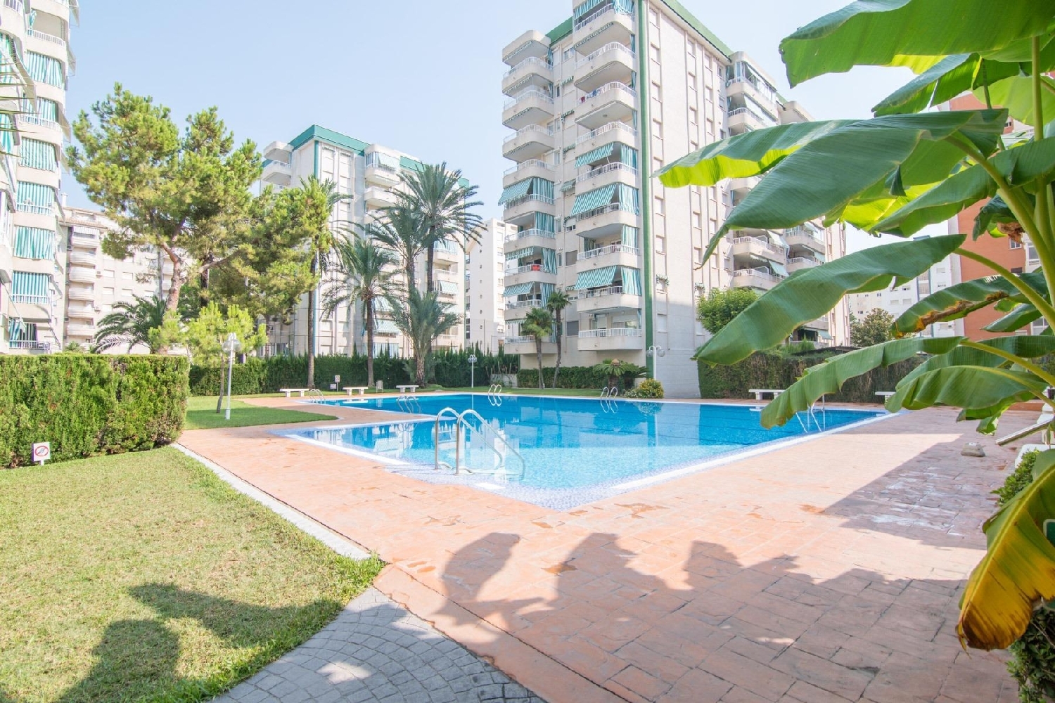  te koop appartement Gandía 46701 Safor 1