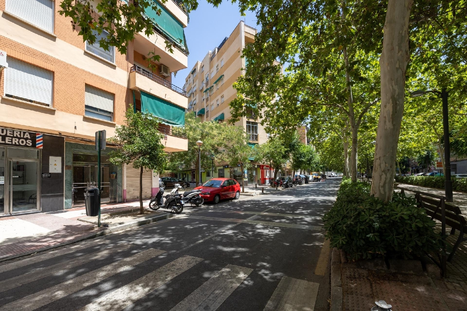 kaufen Wohnung Granada Vega De Granada 2