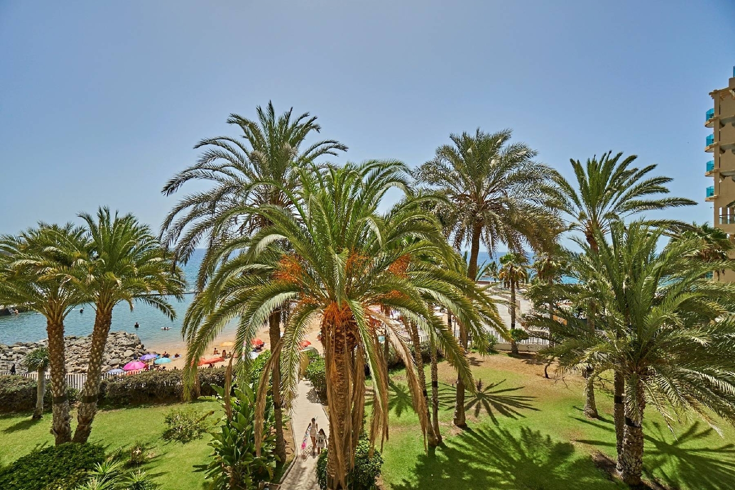 à vendre appartement Mogán Área Sur 1