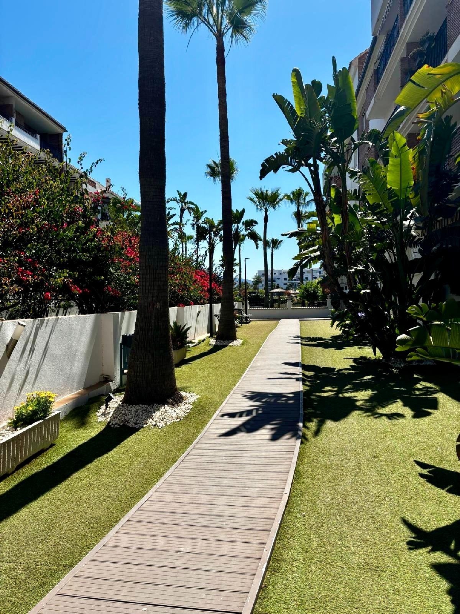  till salu lägenhet Motril Costa Tropical 8