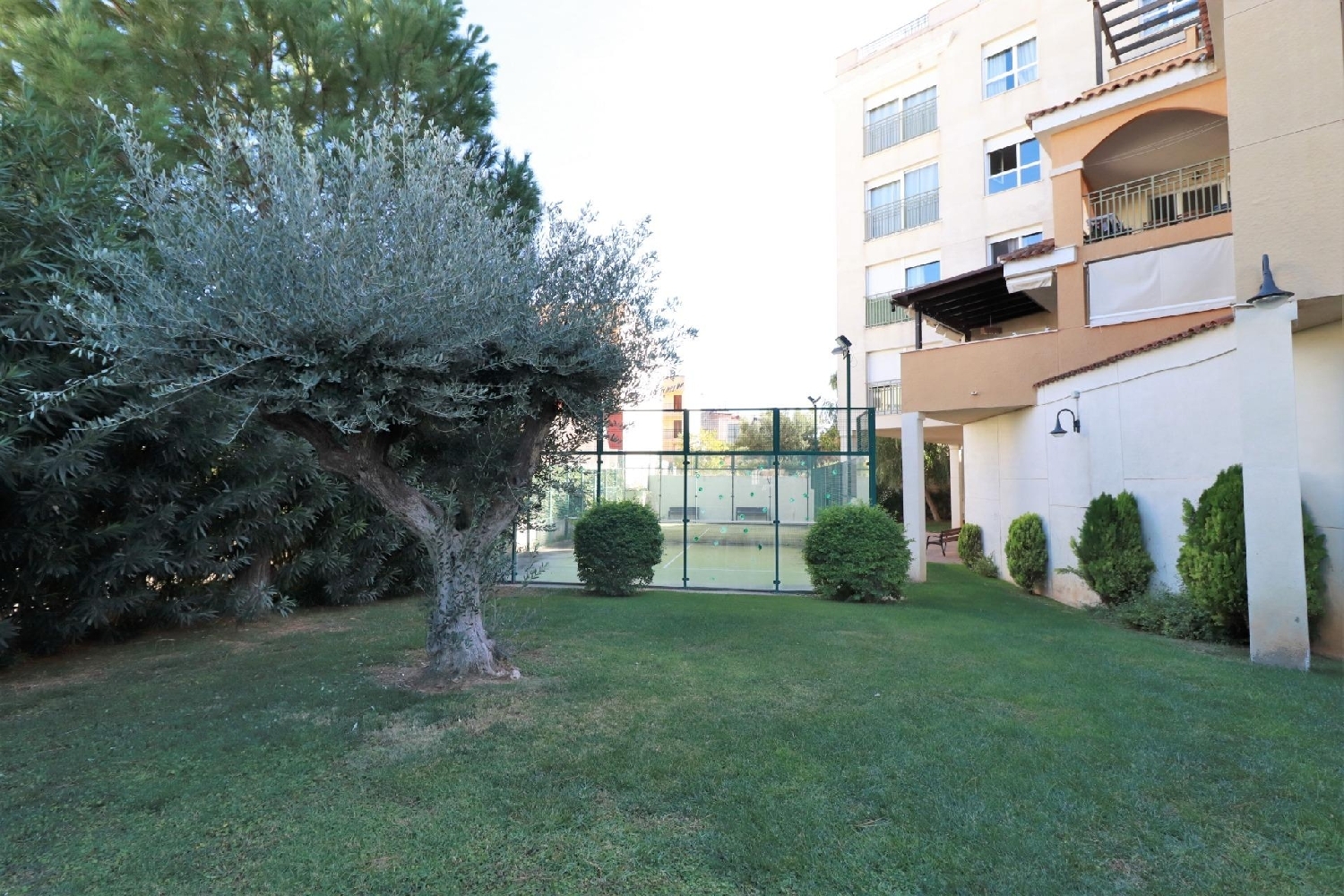  en venta apartamento Naquera Camp De Túria 6