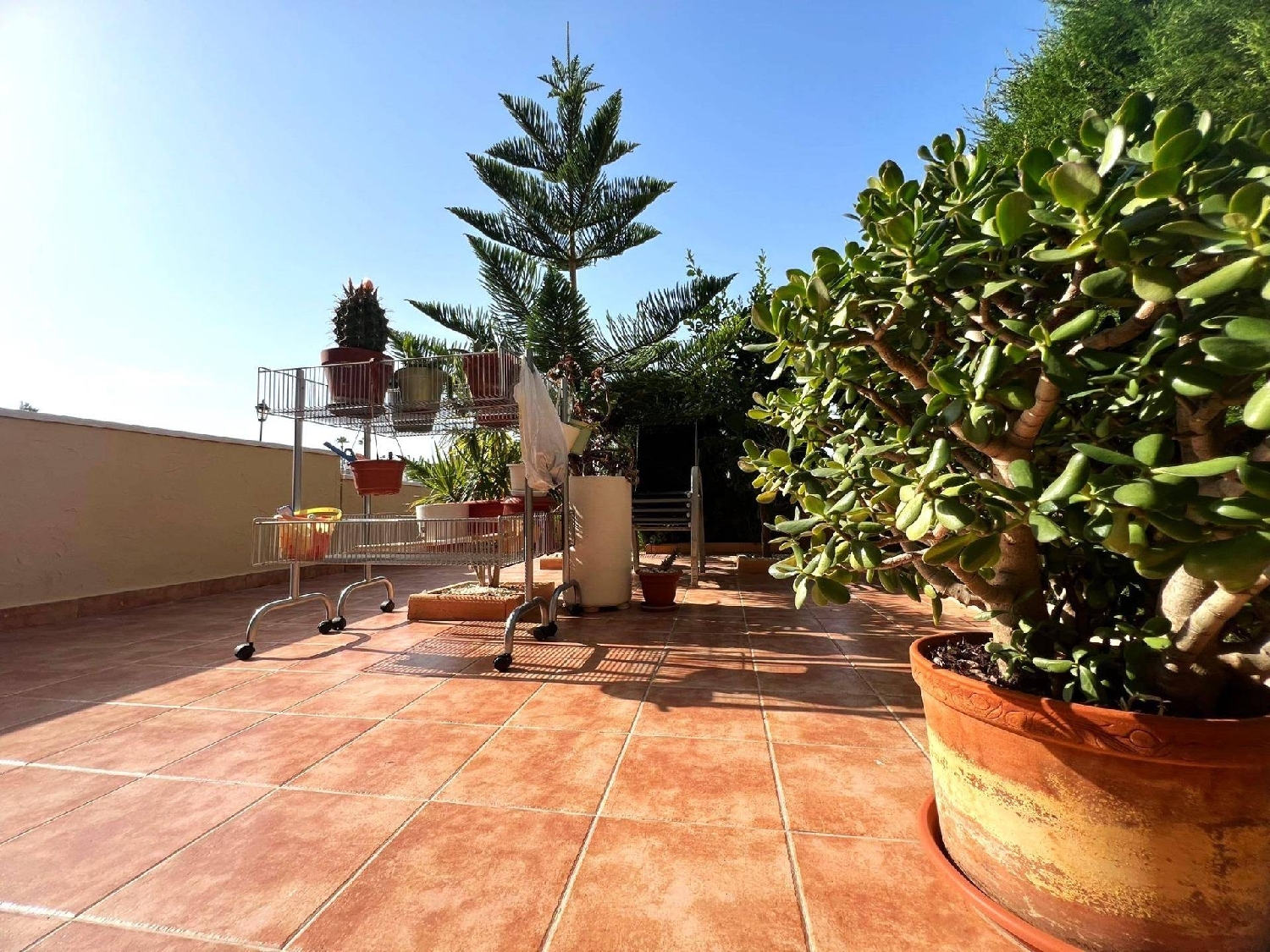 till salu lägenhet Orihuela Costa Baix Segura 2