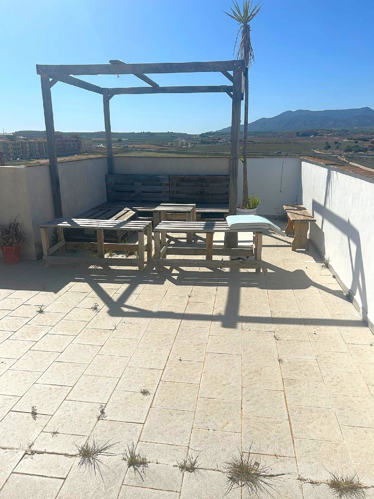  for sale apartment Pinoso Vinalopó Mitjà 21