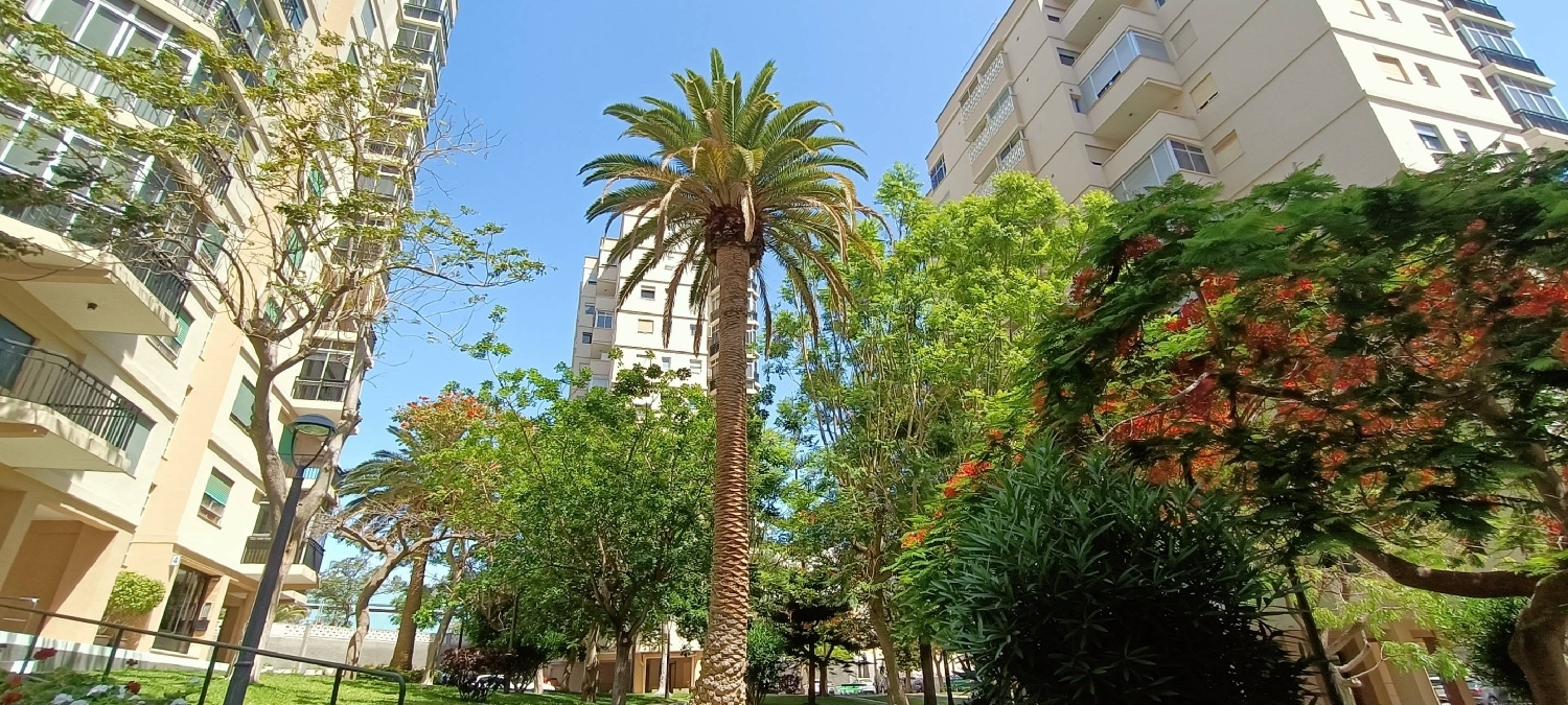  à vendre appartement Santa Cruz De Tenerife 38000 Zona Metropolitana 2