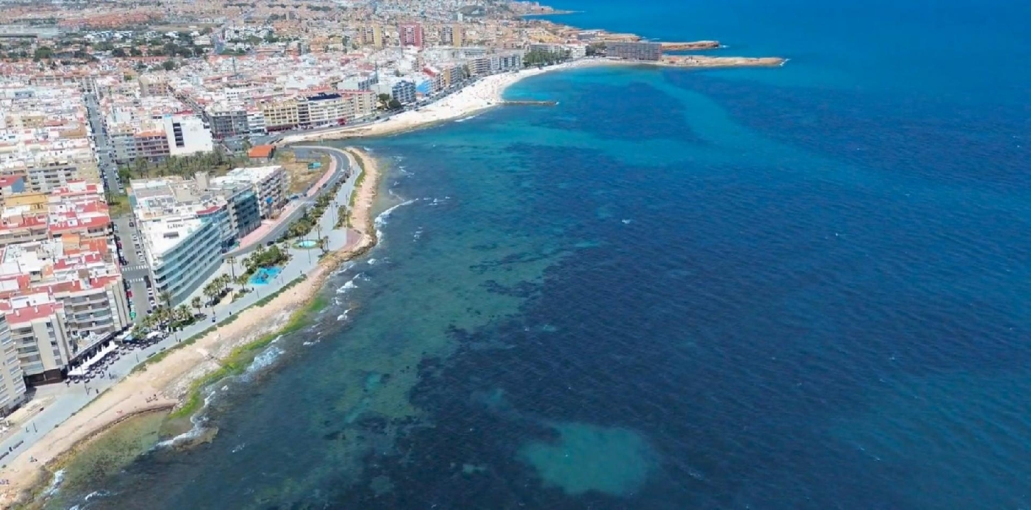 à vendre appartement Torrevieja Baix Segura 2