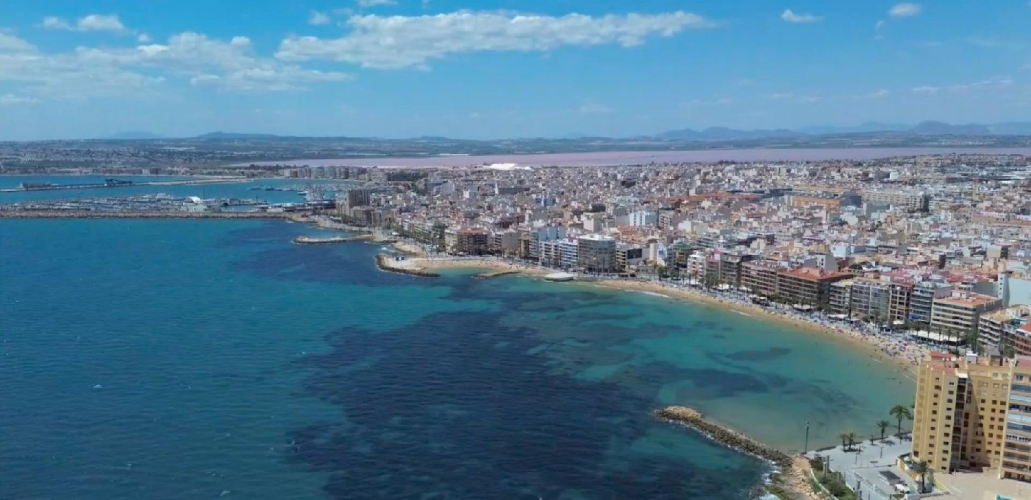  à vendre appartement Torrevieja Baix Segura 1