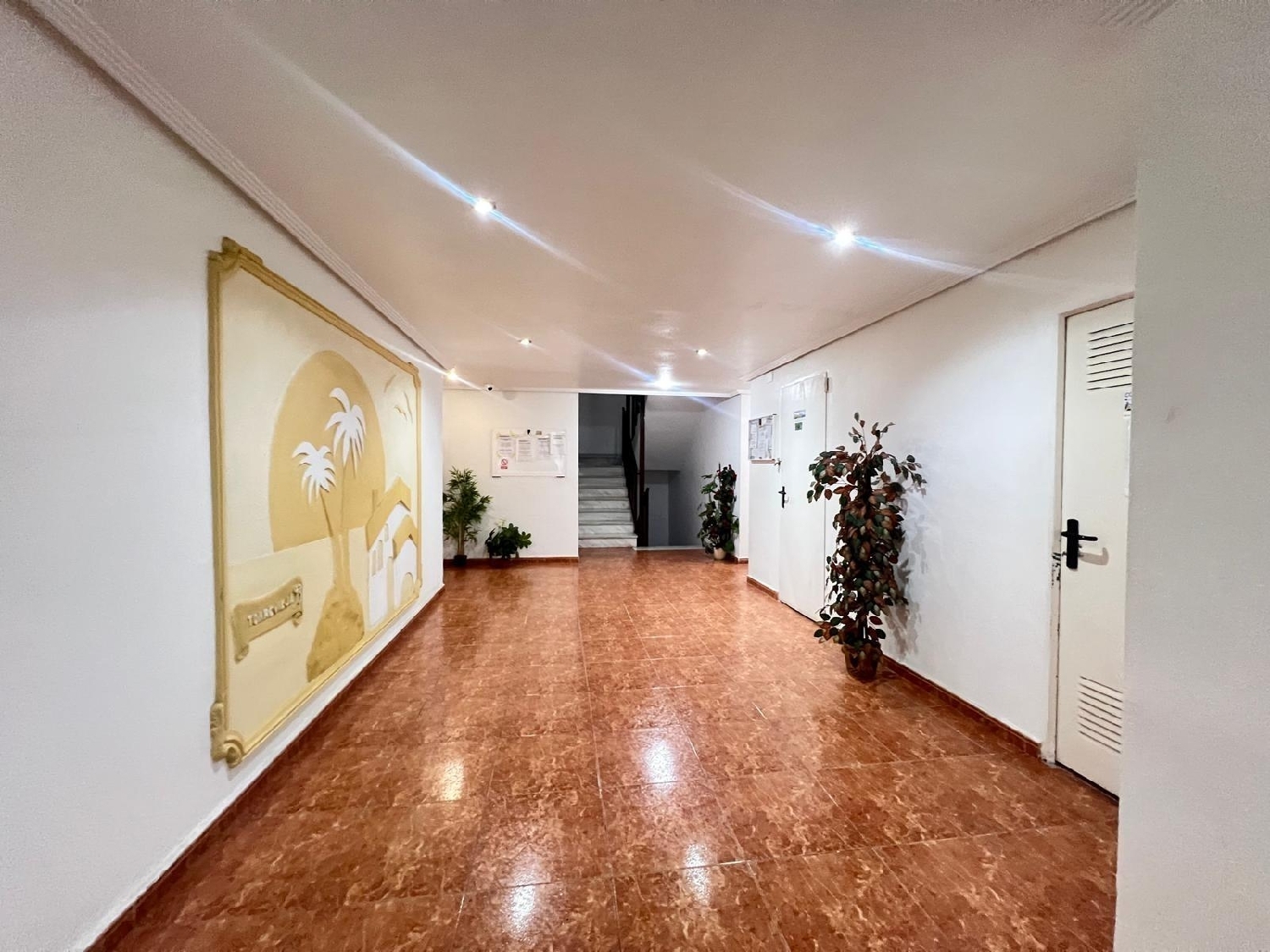  for sale apartment Torrevieja Baix Segura 4