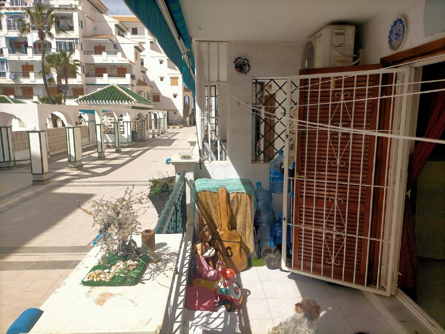  kaufen Wohnung Torrevieja Baix Segura 6