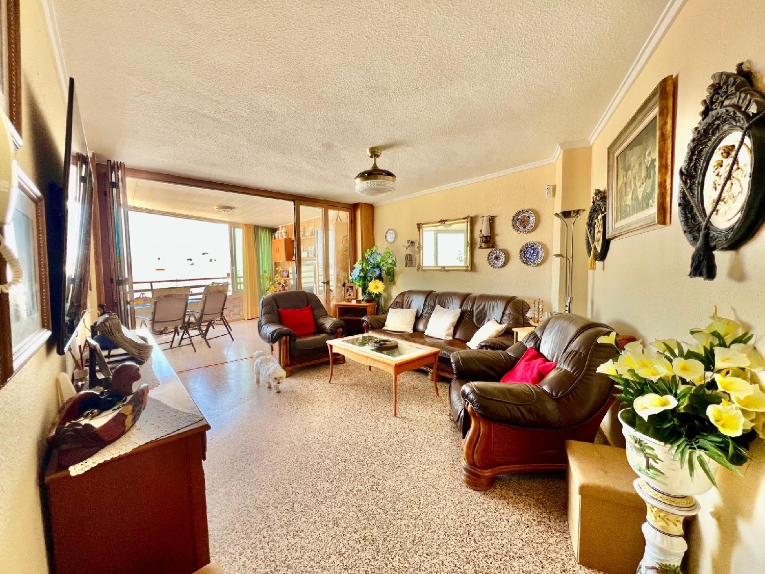  kaufen Wohnung Torrevieja Baix Segura 6