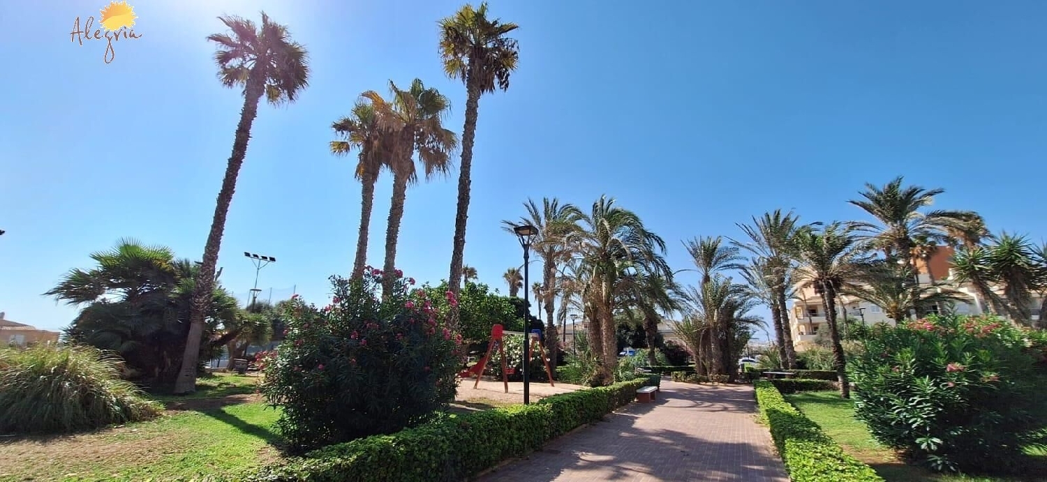  kaufen Wohnung Torrevieja Baix Segura 6