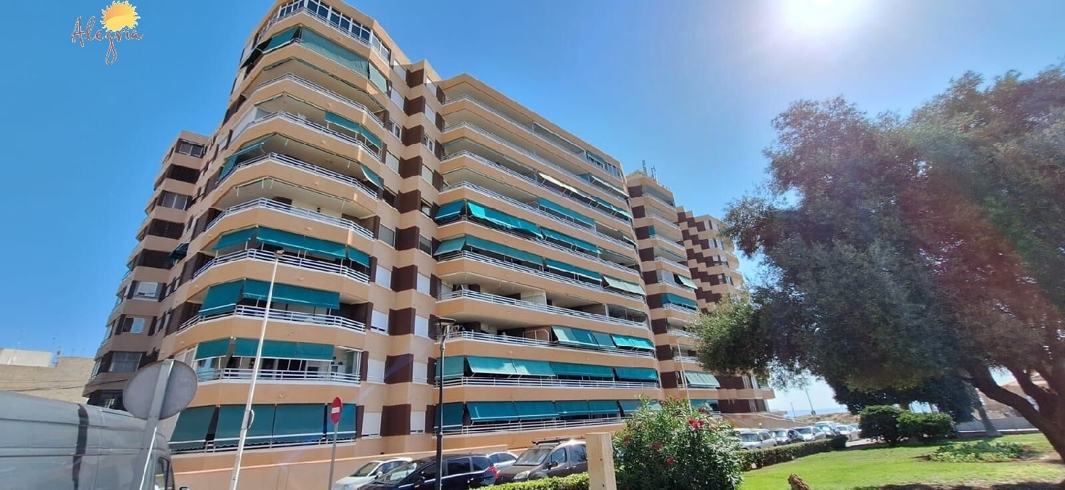  kaufen Wohnung Torrevieja Baix Segura 2