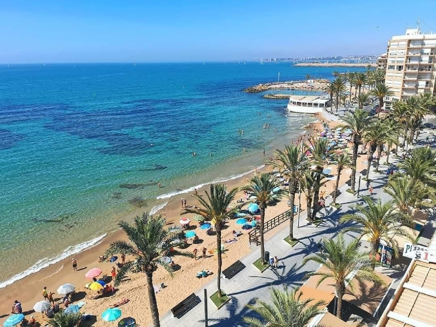  kaufen Wohnung Torrevieja Baix Segura 2