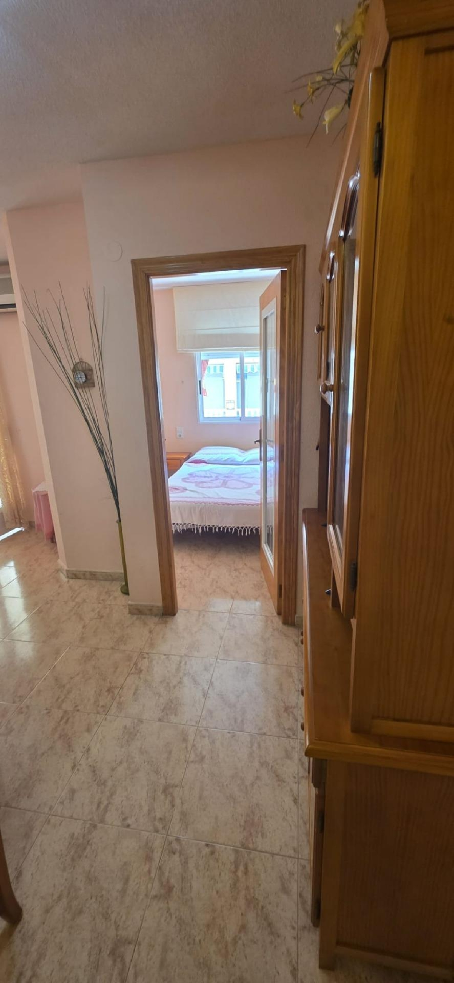  en venta apartamento Torrevieja Baix Segura 5