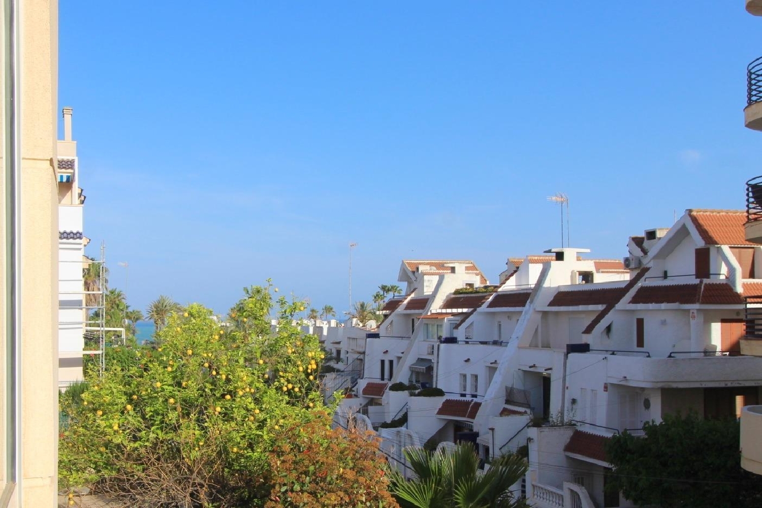  te koop appartement Torrevieja Baix Segura 7