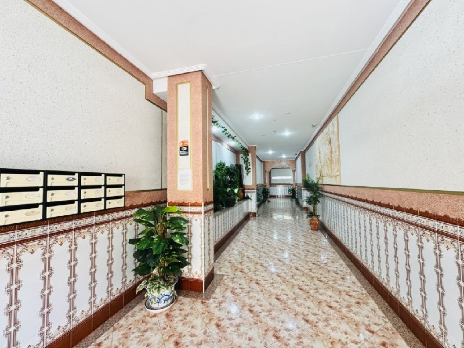 te koop appartement Torrevieja Baix Segura 6