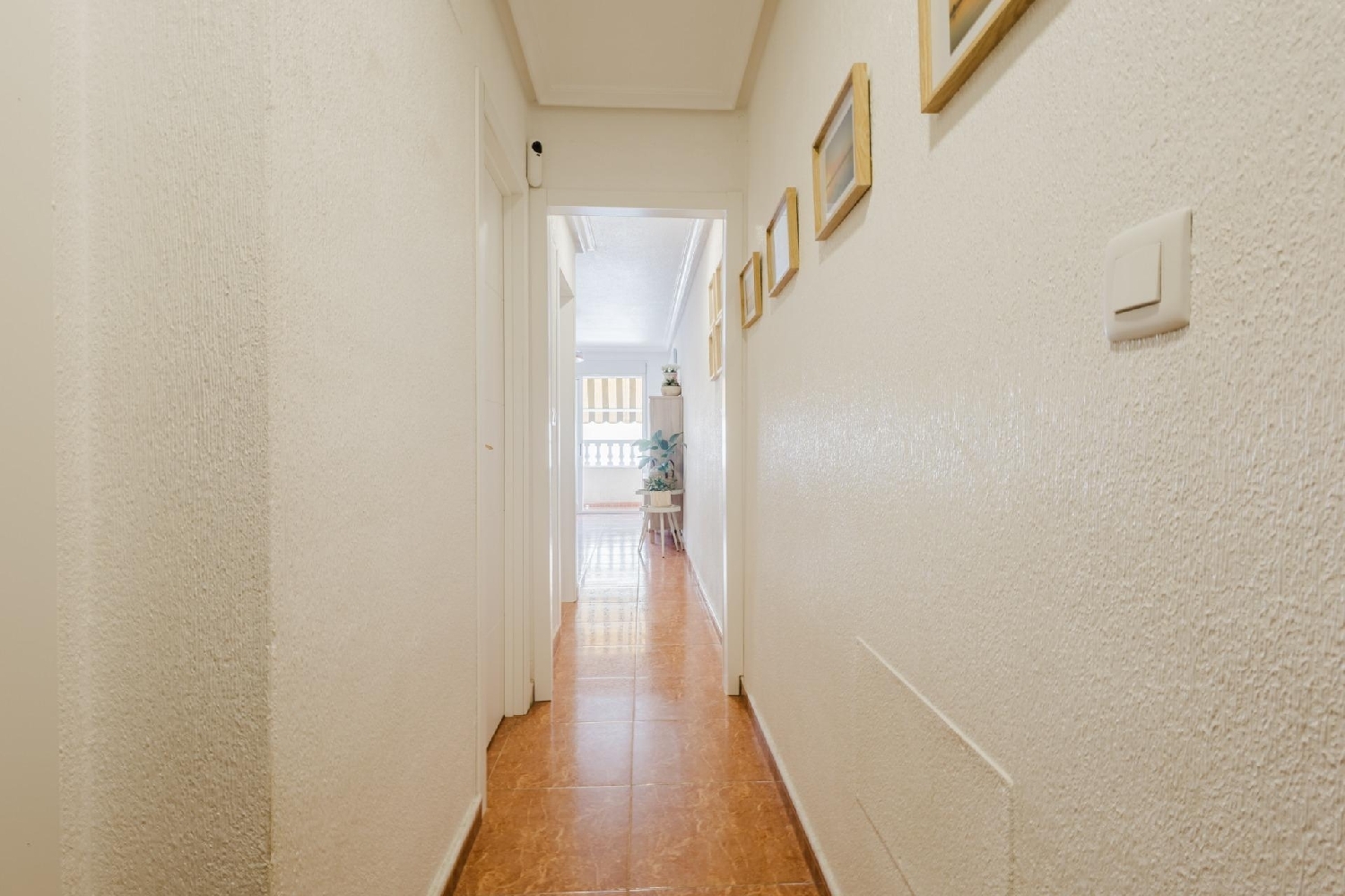  kaufen Wohnung Torrevieja Baix Segura 39