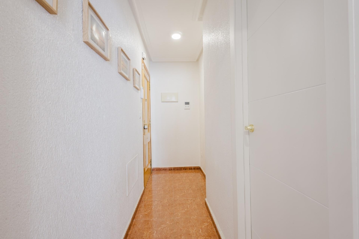  kaufen Wohnung Torrevieja Baix Segura 38
