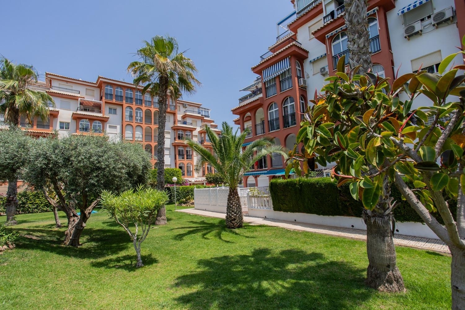  till salu lägenhet Torrevieja Baix Segura 2