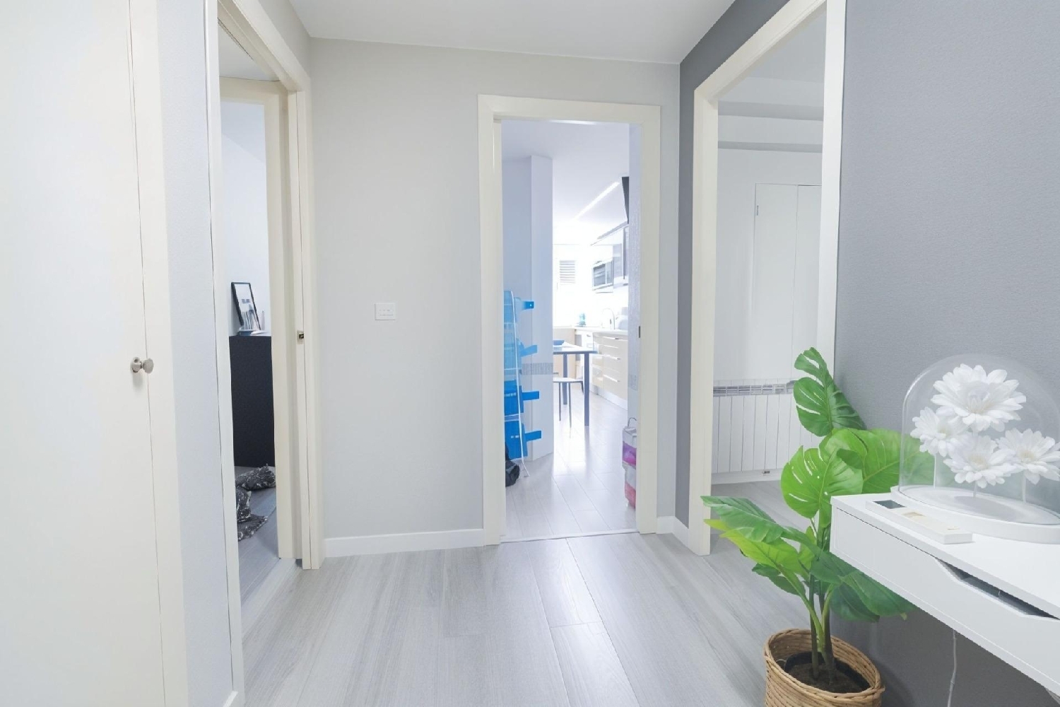 kaufen Wohnung Valencia Valencia 2