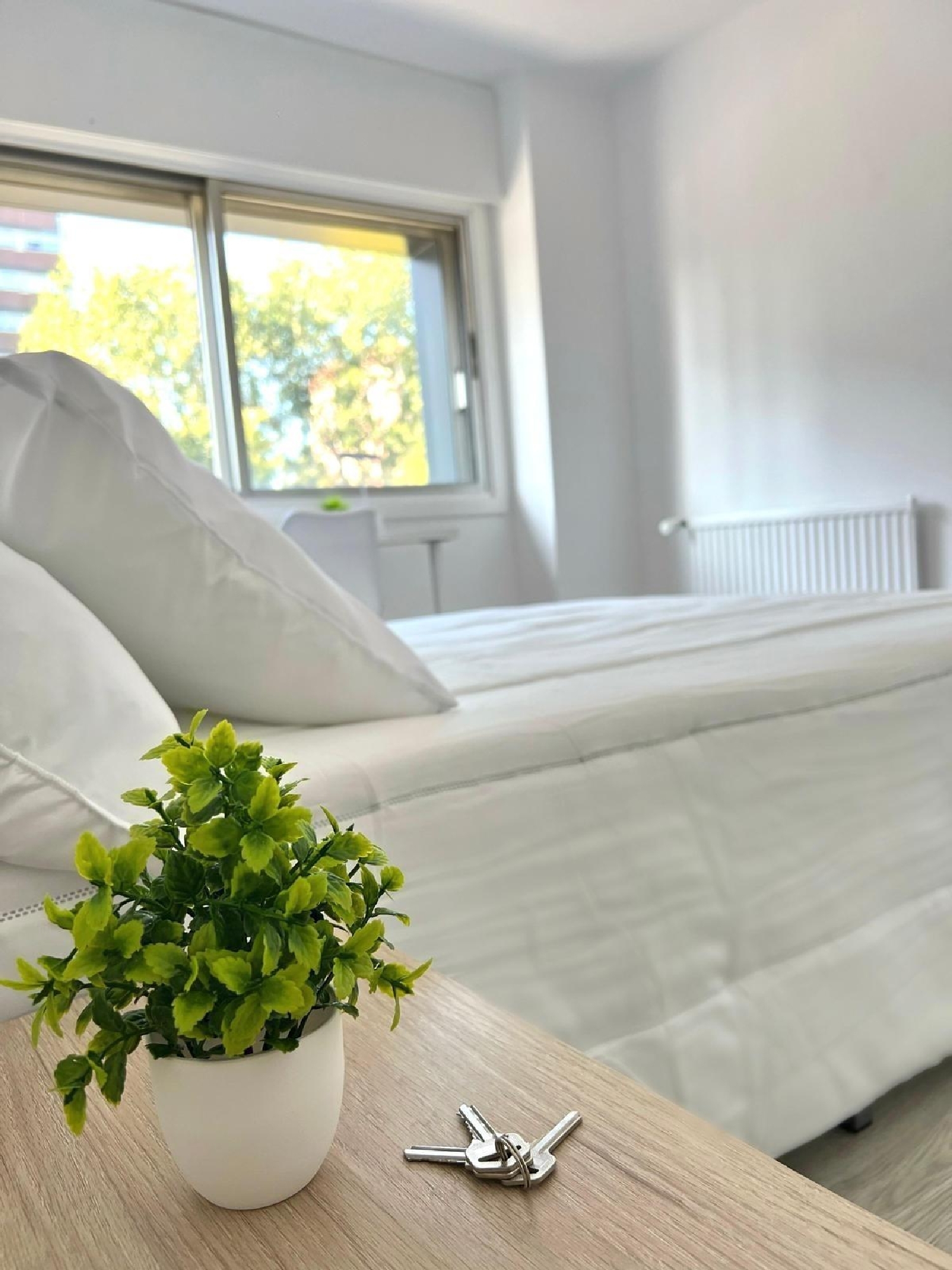 à vendre appartement Vigobo Barcala 4