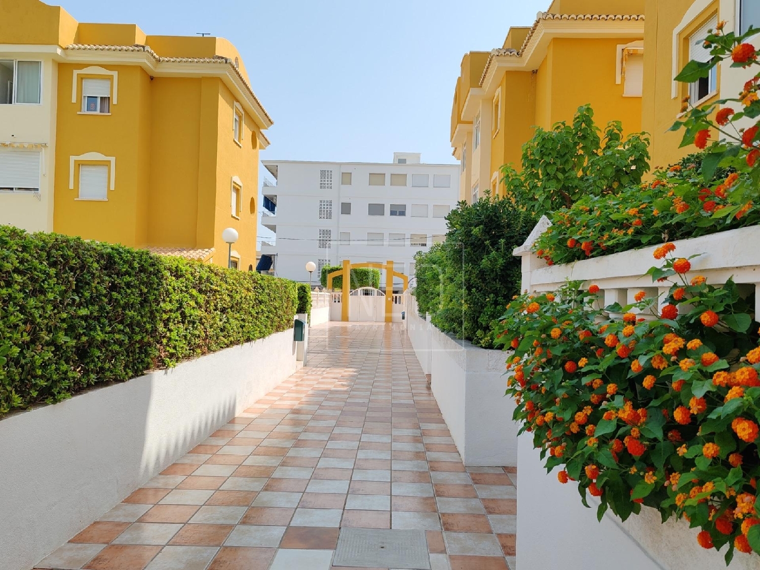 te koop appartement Xeraco Safor 3