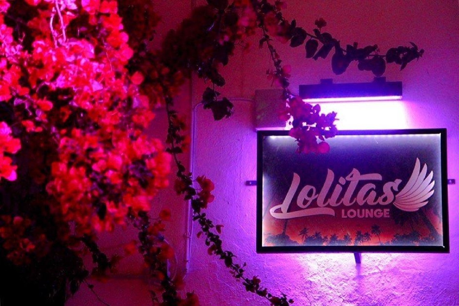  te koop bedrijfsruimte/ kantoor Eivissa Ibiza 5