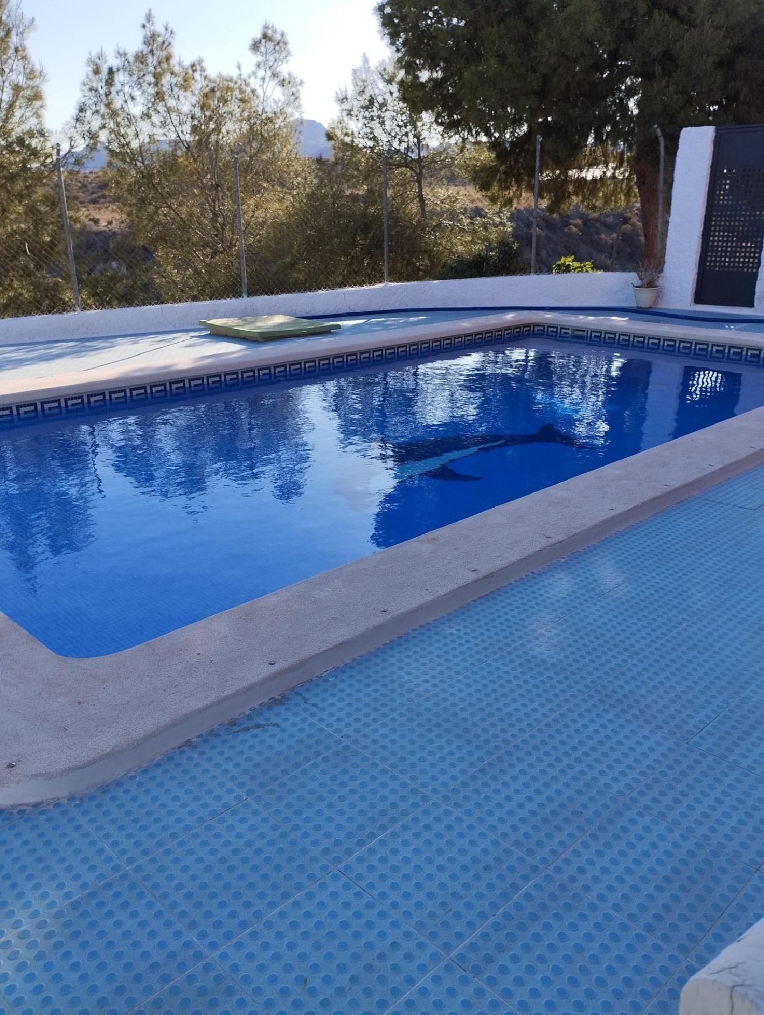  te koop boerderij Águilas Alto Guadalentín 4