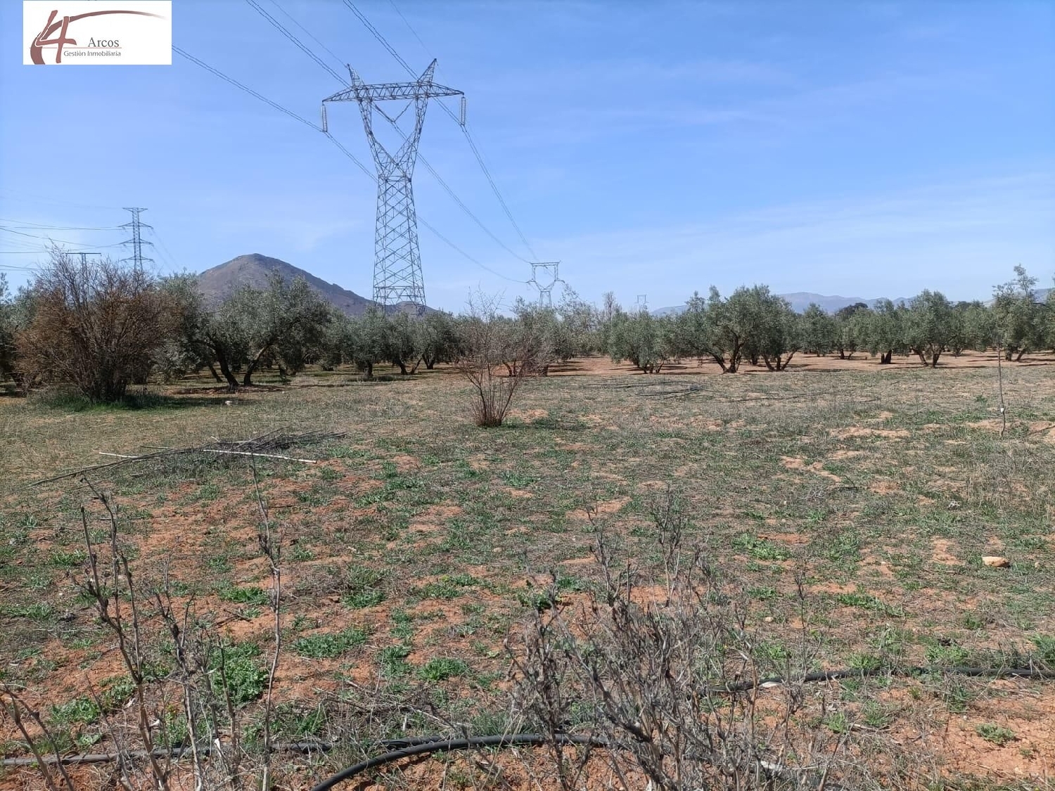  for sale country house Albolote Vega De Granada 1