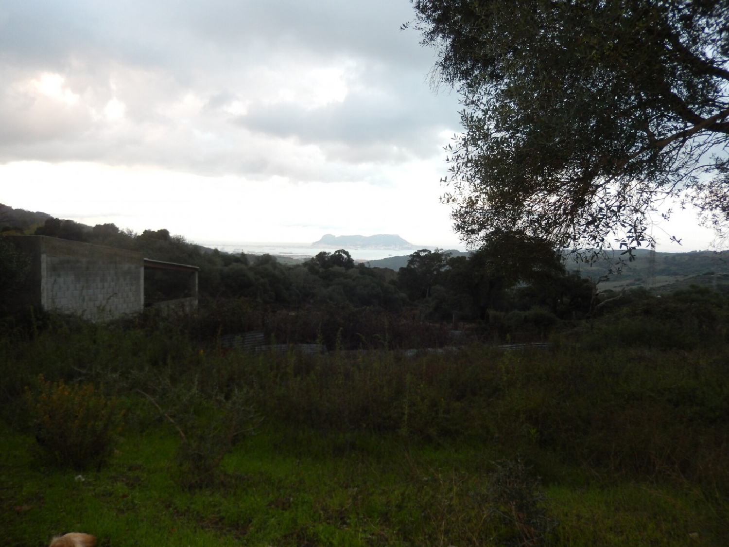  kaufen Landhaus Algeciras Casco Antiguo Campo De Gibraltar 5
